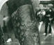 Close-up of the tattooed arm of a prisoner at Pentridge. Close-up of the tattooed arm of a prisoner at Pentridge.