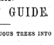 Pamphlet promoting the virtues of introduced trees. Pamphlet promoting the virtues of introduced trees.