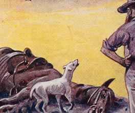 Postcard conveying the effects of drought. Postcard conveying the effects of drought.