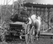 Photograph of a man driving a horse-drawn buggy past a windmill and water tank. Photograph of a man driving a horse-drawn buggy past a windmill and water tank.