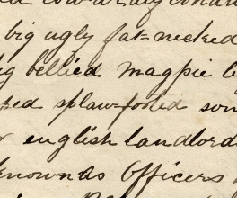 A page from Ned Kelly's Jerilderie letter.