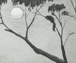 Drawing of diggers hunting. Drawing of diggers hunting.