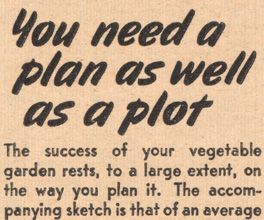 Newspaper feature on replacing a decorative garden with a productive one. Newspaper feature on replacing a decorative garden with a productive one.